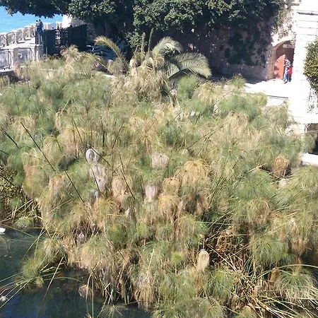 Stella Maris Lägenhet *